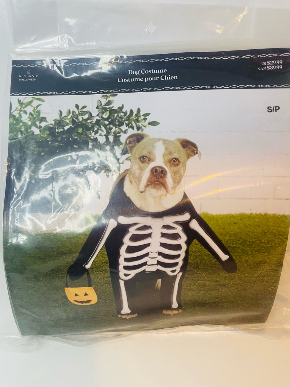 Black Skeleton Halloween Dog Costume with White Bones and Pumpkin,Size Small